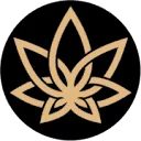 3Chi Coupon Codes